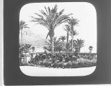The Gardens Monaco.
