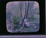 Song-Bench 'Neath the Old Willow Tree.