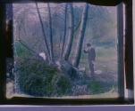 [Song-Bench 'Neath the Old Willow Tree.]