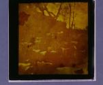 [Untitled]