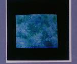 [Untitled]