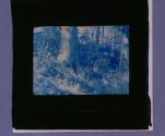[Untitled]