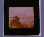 [Untitled]