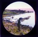 Capernaum