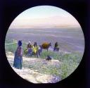 Zerin, plain, and hill of Moreh.