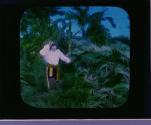 Jungle (Illeg.)