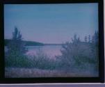 M. White Lake