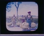 Carrying the rice to market-Java.