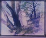 [Untitled]