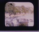 Brink of Genesee Falls, Rochester.