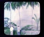 Mt. Pelee in furious activity as seen from Assier, Martinique. F.W.I.