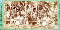 [Two women under tree by river]