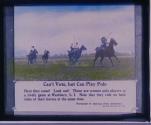 Can't vote, but Can Play Polo