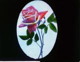 Rose Brings My Heart.