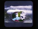 [Untitled]