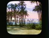 Palm trees Philae Isle