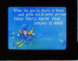 When the gar-lic starts to bloom and gives out its sweet perfume ....