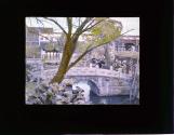 Shih Tze Lin