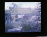 Wong Ancestral