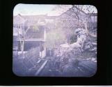Wong Ancestral HID 1/35