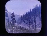 In North California Sou. Pac R.R. Near Mt Shasta