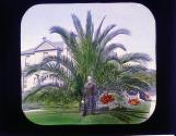 Private Residence Sherwin's Palm's Oakland
