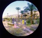 Haifa
