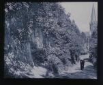 Vorgebirge, Losshohlweg bei Roisdorf