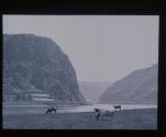 Die Loreley