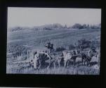 Weinernte in der Champagne.