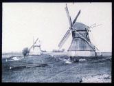 Windmuhlen bei Wustrow