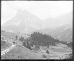 Alpenmatten