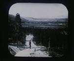 Hayden Valley