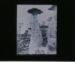 Toad Stools Garden of the Gods