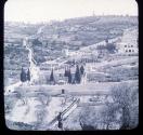 Mt. of Olives fr. City Wall.