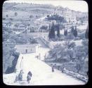 The Garden of Gethsemane.