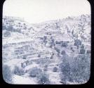 Valley of Jehoshaphat & S.E. Corner