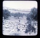 The Shepherd's fields & Bethlehem.