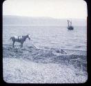 The Dead Sea