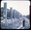 Grand Colonnade, Samaria