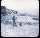 Place of Sacrifice, Carmel