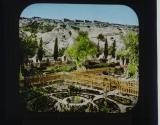 Jardin de Gethsemane