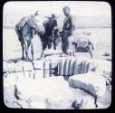 Well at Beersheba.