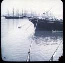The Harbor of Alexandria.