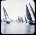 Nile River-Native boats.