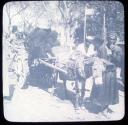 A Donkey Cart. Cairo.
