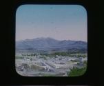Tarsus