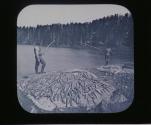 Yellowstone Lake. 300 lbs. of Trout in 2 hrs.