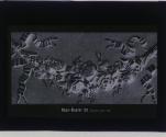 [Haas-Raster 20 Linien per cm. (negative)]