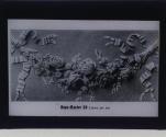 [Haas-Raster 20 Linien per cm. (positive)]